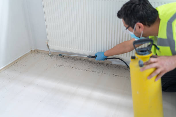 Best Pest Inspection Near Me  in Fennimore, WI