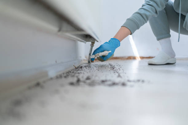 Best Bed Bug Extermination  in Fennimore, WI
